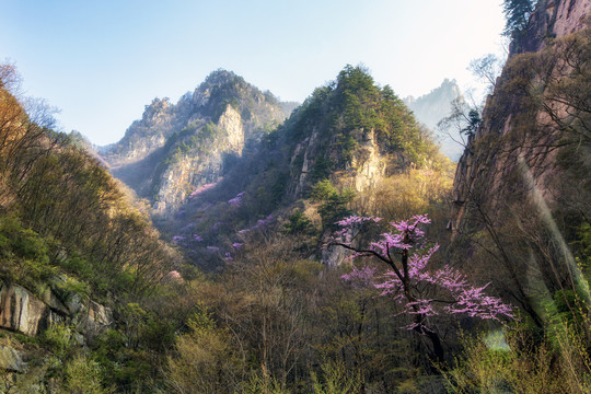 伏牛山老界岭