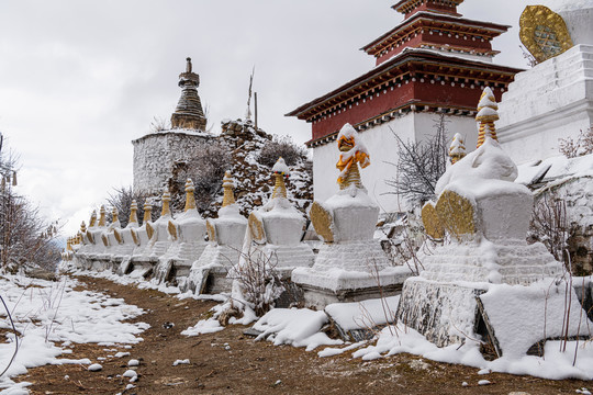 达拉岗布寺塔林