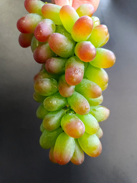 翡翠绿葡萄