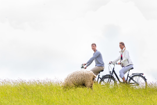 一对夫妇骑着自行车在大堤上放羊旅游
