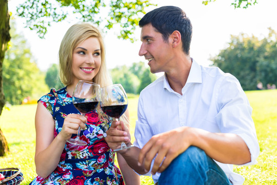 一对夫妇坐在毯子上，提着篮子在草地上用红酒野餐