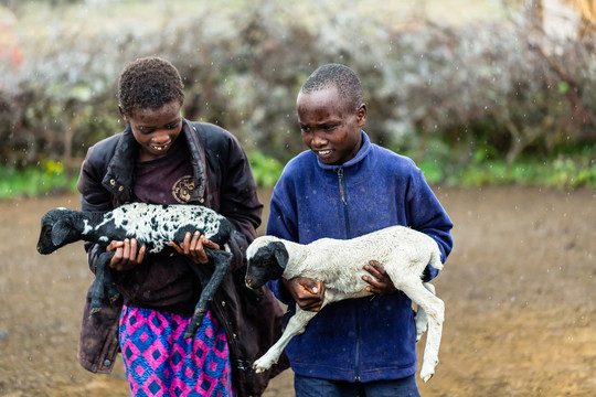 马萨的孩子们在雨中抱着山羊