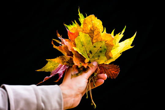 秋天或秋天的女人，在黑暗的背景下，有着五颜六色的叶子