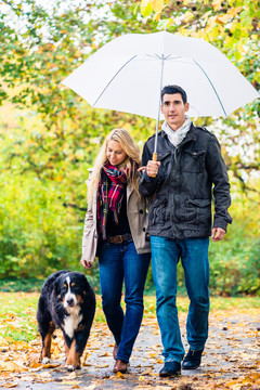 秋雨里，女人和男人牵着狗散步