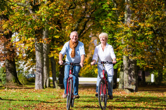 老年夫妇，男男女女，骑自行车在秋季公园进行自行车之旅