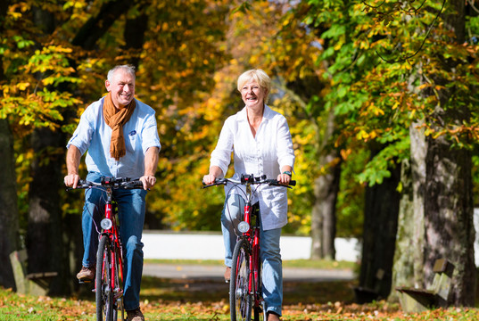 老年夫妇，男男女女，骑自行车在秋季公园进行自行车之旅