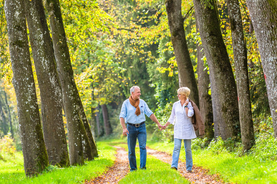 老人和老人，一对夫妇，在秋天的森林里散步，彼此拥抱
