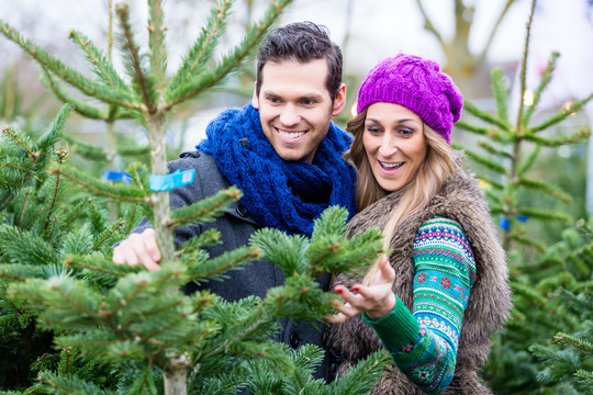 快乐的女人和男人在市场上买圣诞树