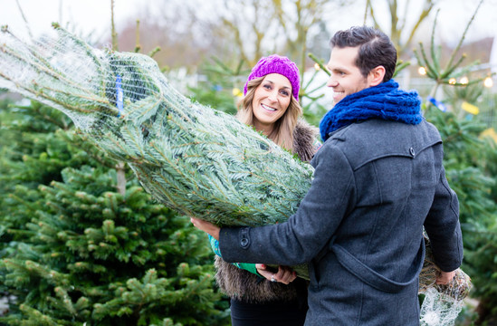 一对夫妇抱着买来的圣诞树