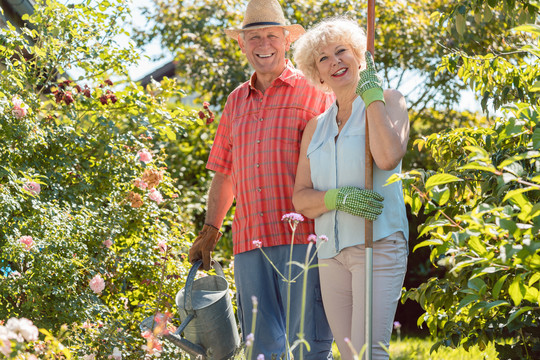 在一个阳光明媚的夏天，在花园里工作时，一位活泼快乐的老太太站在丈夫旁边看着相机