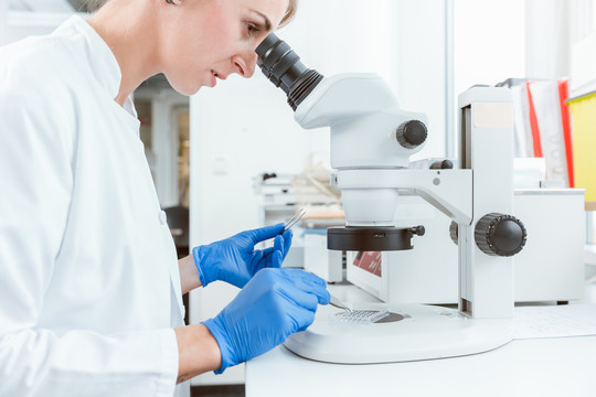 白种女性研究员在实验室通过显微镜观察