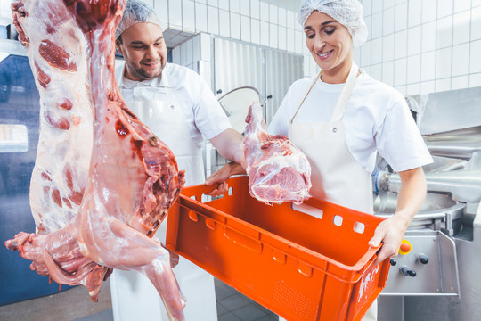 一队屠夫在屠宰场处理肉，把肉放在集装箱里