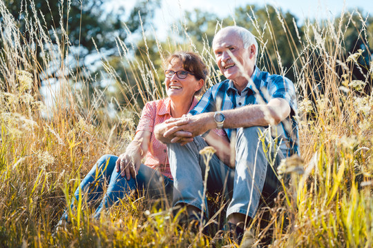 一对老年夫妇坐在草地上欣赏风景
