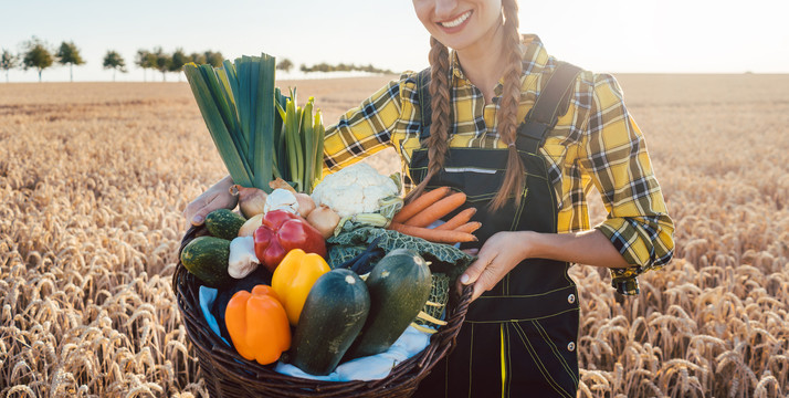 农村环境中提供健康蔬菜的农妇