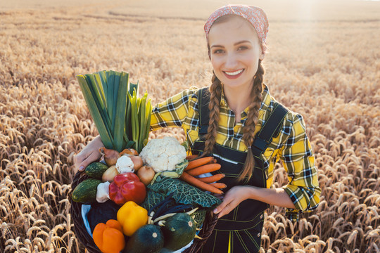 在乡下的收获季节，女农场主提供蔬菜带他们去市场