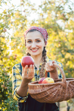 果园里的农妇手里拿着苹果，专注于水果