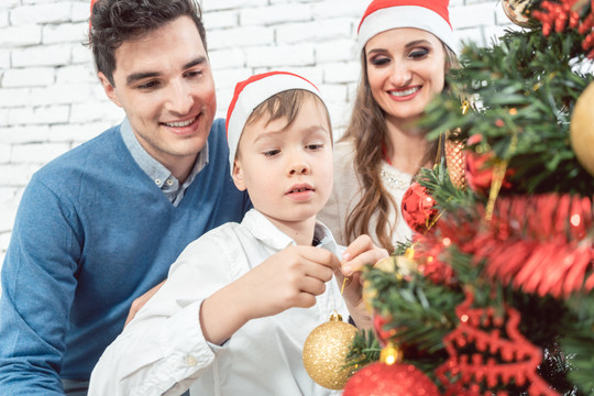 儿子帮助家人用红色和金色的装饰品装饰圣诞树