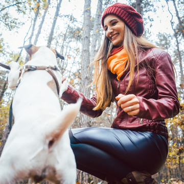 女人和她的狗在秋天的森林里玩耍
