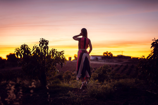 在橄榄林中看夕阳余晖的女人