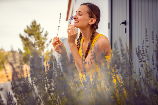 葡萄牙阿伦特乔的一个农场里，一位正在享受薰衣草香味的妇女