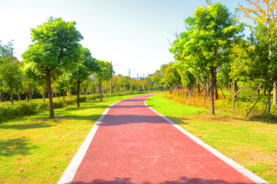 公园小路