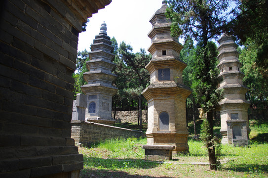 河南登封少林寺景区塔林