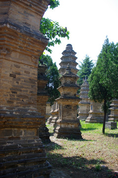 河南登封少林寺景区塔林