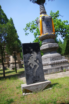 河南登封嵩山少林寺景区塔林