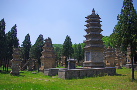 河南登封嵩山少林寺景区塔林