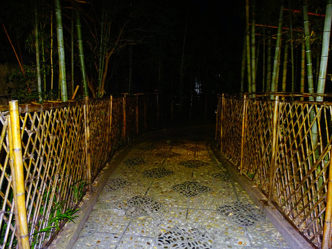 夜光竹子林