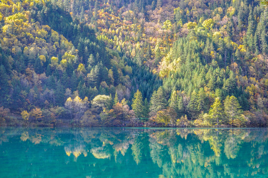 九寨沟秋景