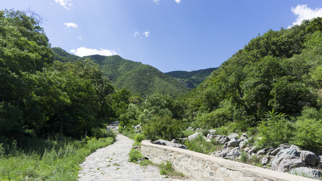 九龙山风光