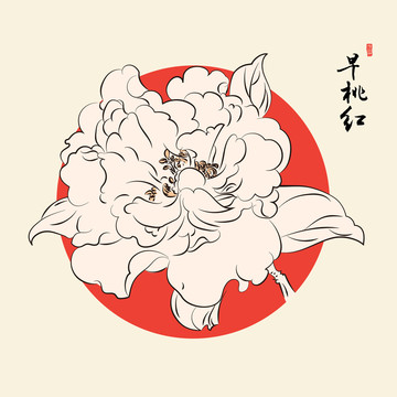 茶花