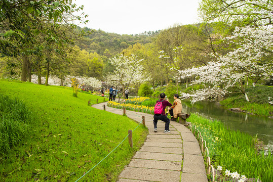 园林风景