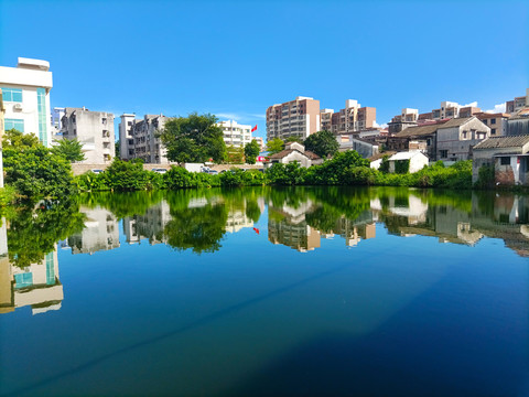 水塘风景