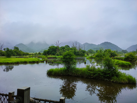 神农架大九湖