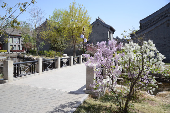 中式民宿农家院