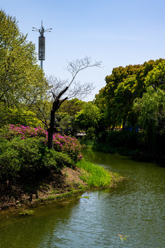 江苏无锡蠡湖中央公园