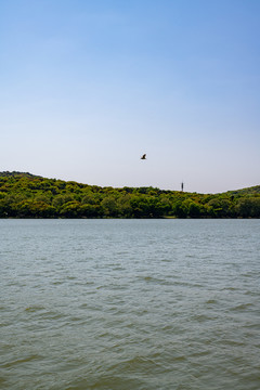 江苏无锡蠡湖国家湿地公园