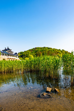 江苏无锡太湖鼋头渚风景区