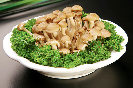 蟹味菇