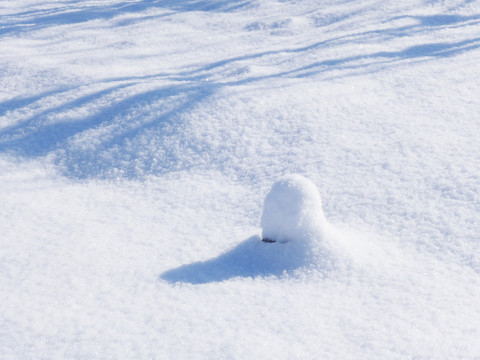 雪地