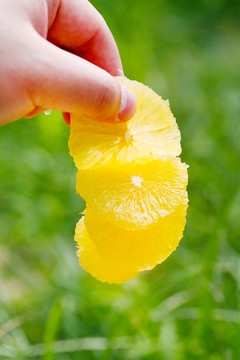 青皮冰糖橙