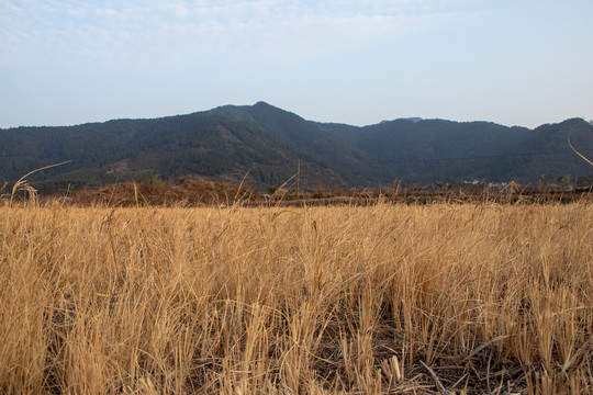 草地平原山峰