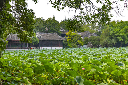 南浔小莲庄