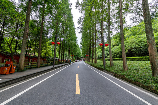 青城山观光公路