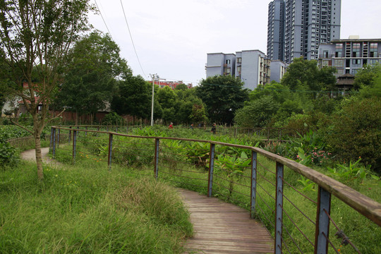 乡村建设