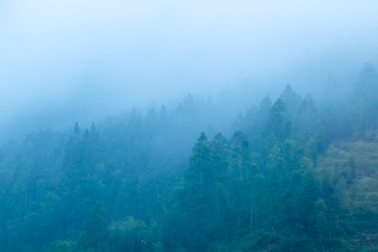 迷雾中的山林
