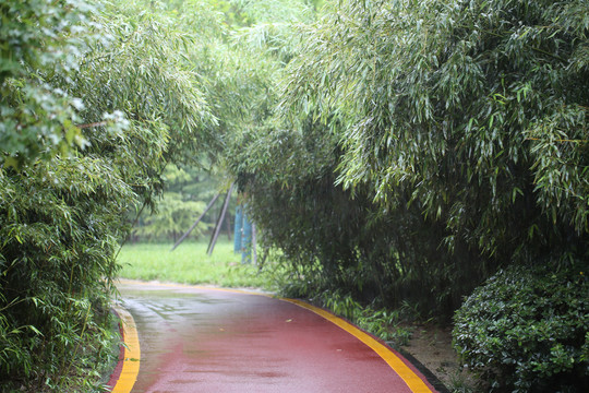 竹林健康步道