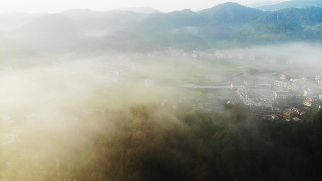 湖南娄底新化紫鹊界梯田秋景晨雾